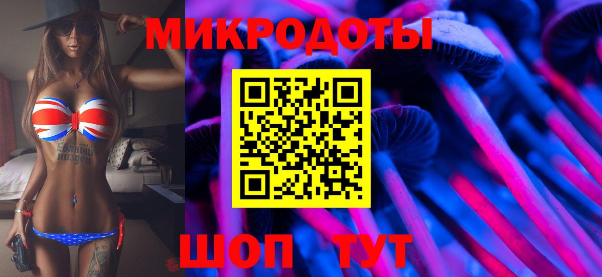 Галлюциногенные грибы Psilocybine cubensis  Вход с VPN  Галлюциногенные грибы Cubensis  Белая Калитва 