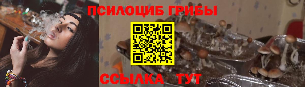 Псилоцибиновые грибы GOLDEN TEACHER Белая Калитва